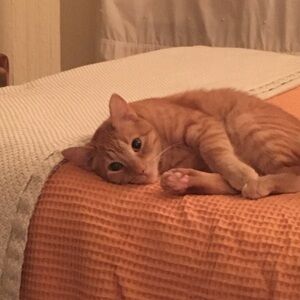 Meet your Posher, Erin